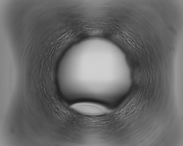 X0000113301345200909140937