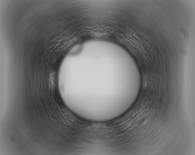 X0000113301346200909140937