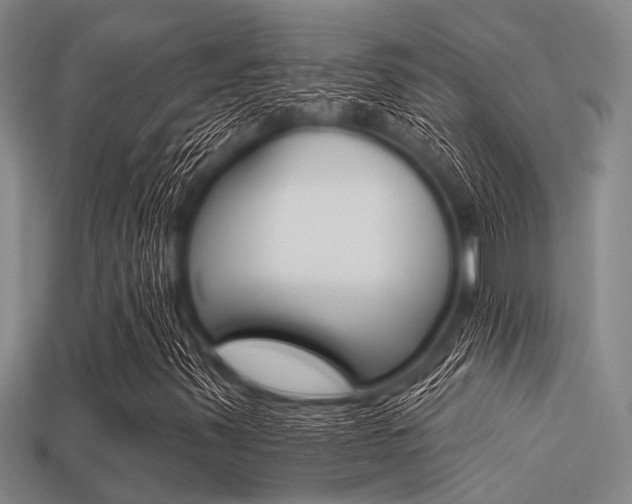 X0000113301347200909140937