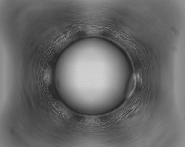 X0000113301348200909140937