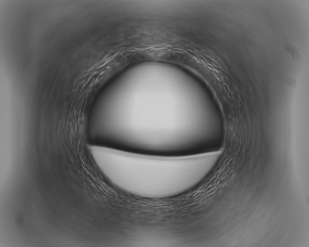 X0000113301349200909140937