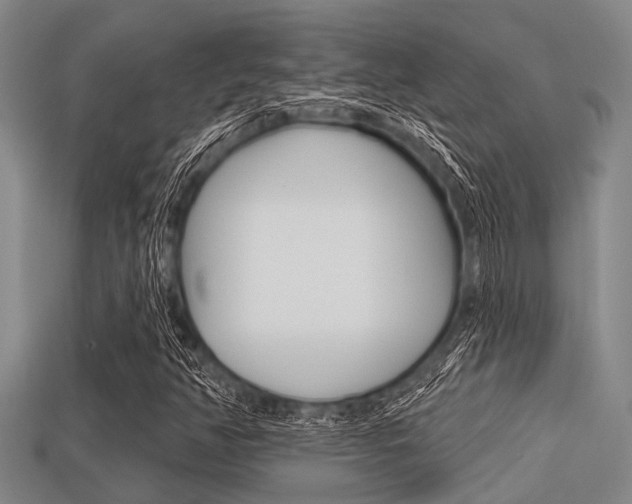 X0000113301350200909140937