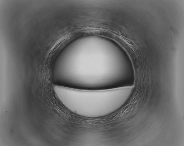 X0000113301351200909140937