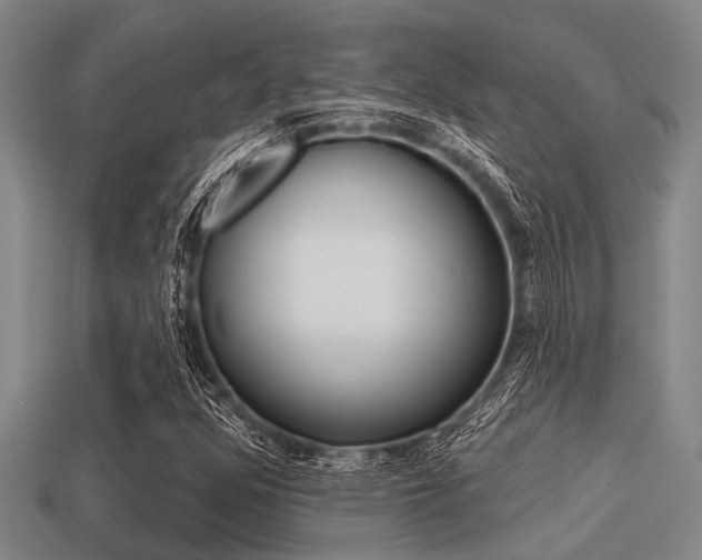 X0000113301352200909140937