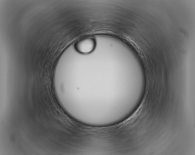 X0000113301353200909140937