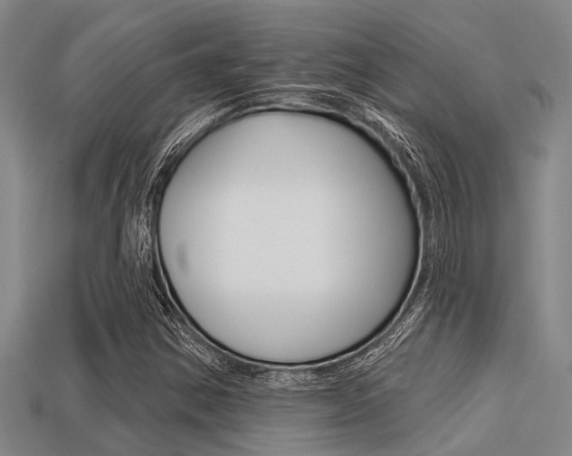 X0000113301354200909140937