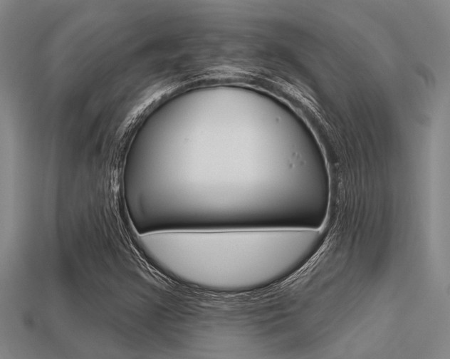 X0000113301355200909140937