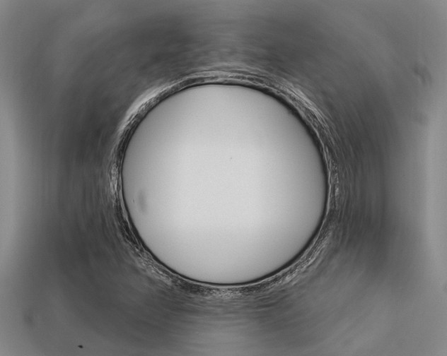 X0000113301358200909140937