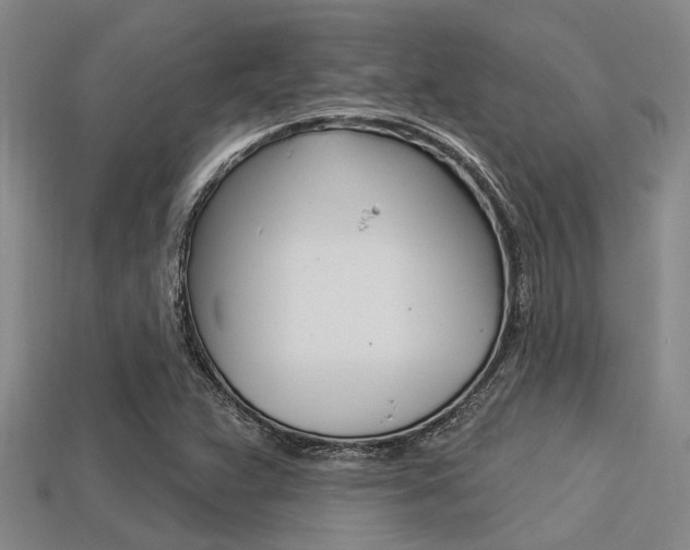X0000113301359200909140937