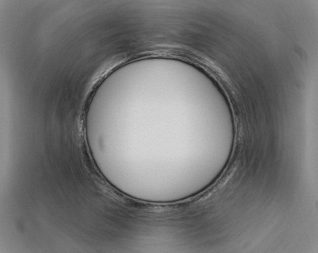 X0000113301362200909140937