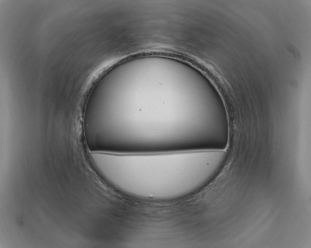 X0000113301363200909140937