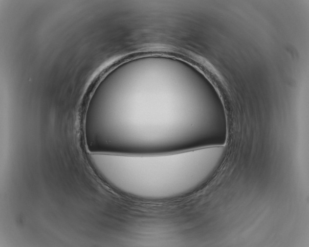 X0000113301364200909140937
