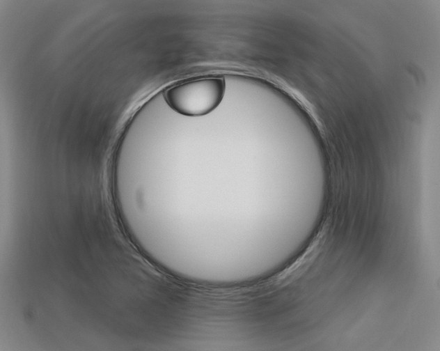 X0000113301365200909140937