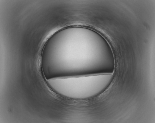 X0000113301367200909140937