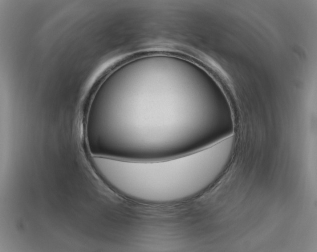 X0000113301368200909140937