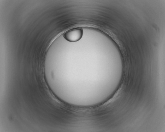 X0000113301369200909140937