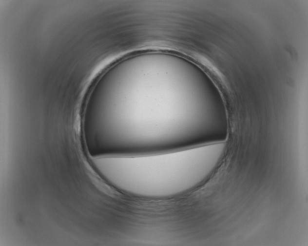 X0000113301372200909140936