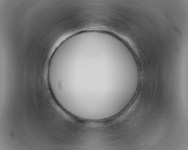 X0000113301374200909140936
