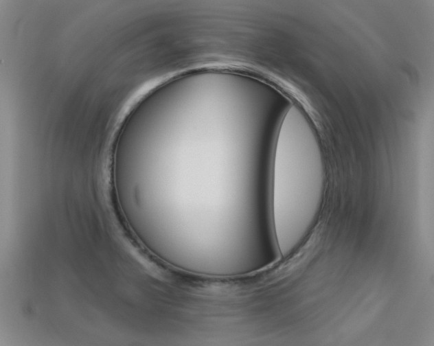 X0000113301375200909140936