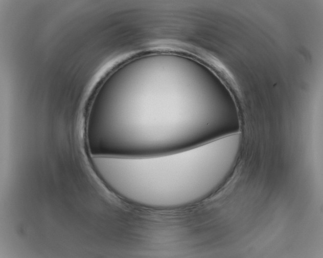 X0000113301376200909140936
