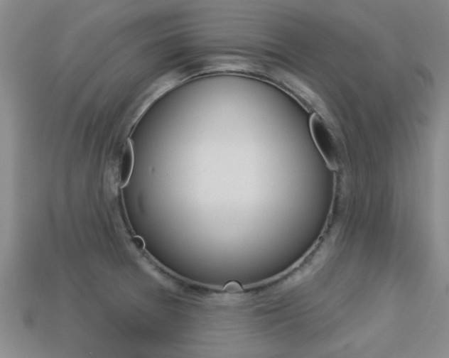 X0000113301377200909140936