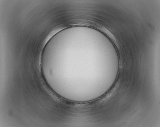 X0000113301378200909140936