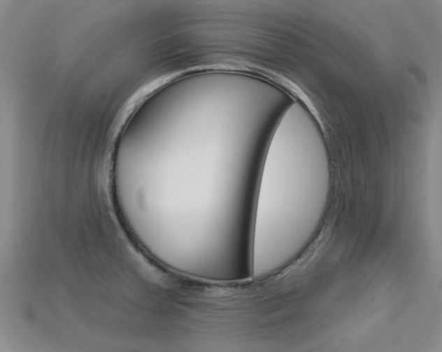 X0000113301379200909140936
