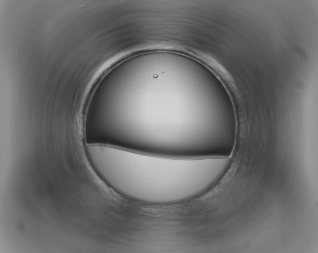 X0000113301380200909140936
