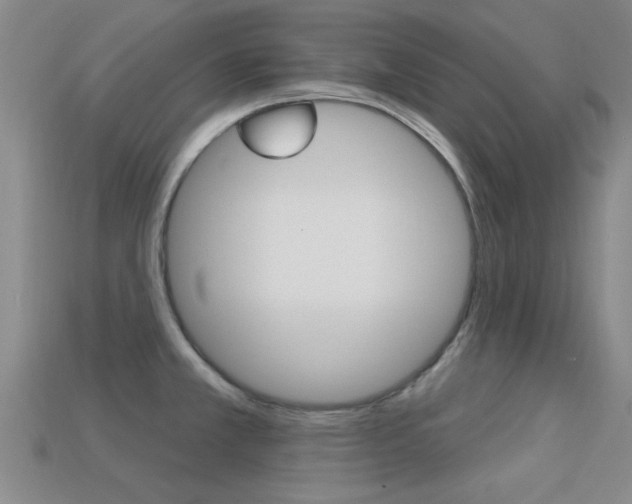 X0000113301381200909140936