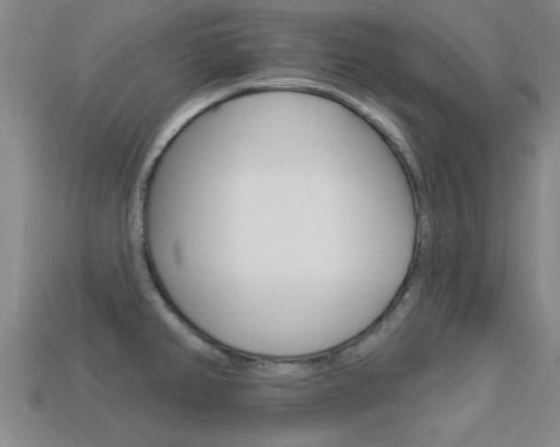 X0000113301382200909140936