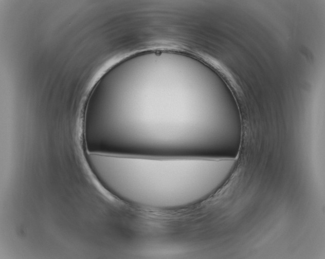 X0000113301383200909140936