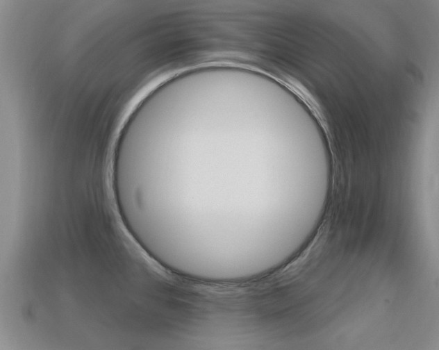 X0000113301384200909140936