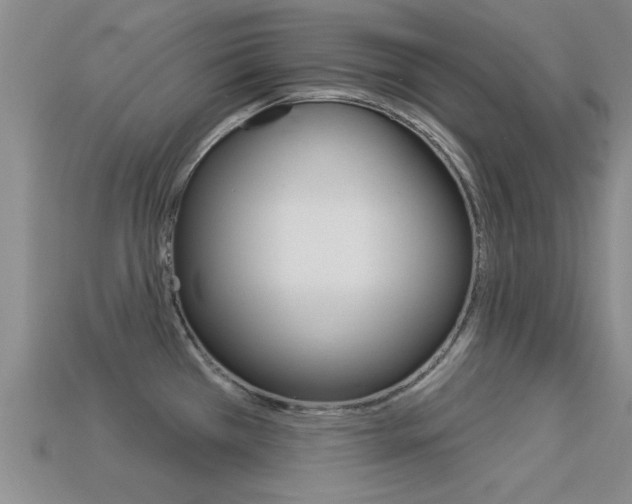 X0000113301385200909140936
