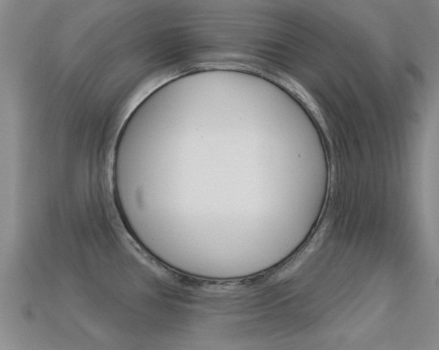 X0000113301386200909140936