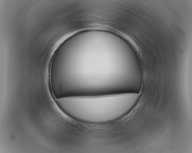 X0000113301387200909140936