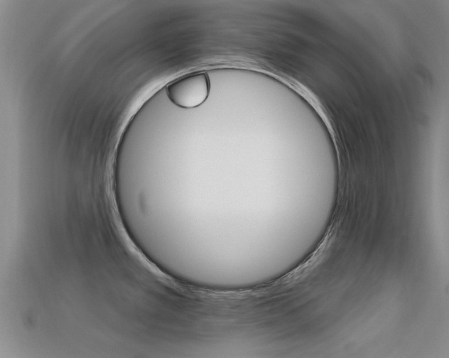 X0000113301389200909140936