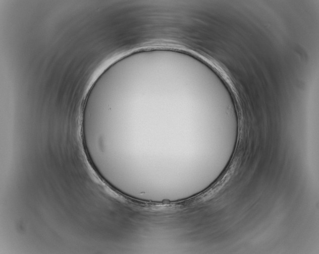 X0000113301390200909140936