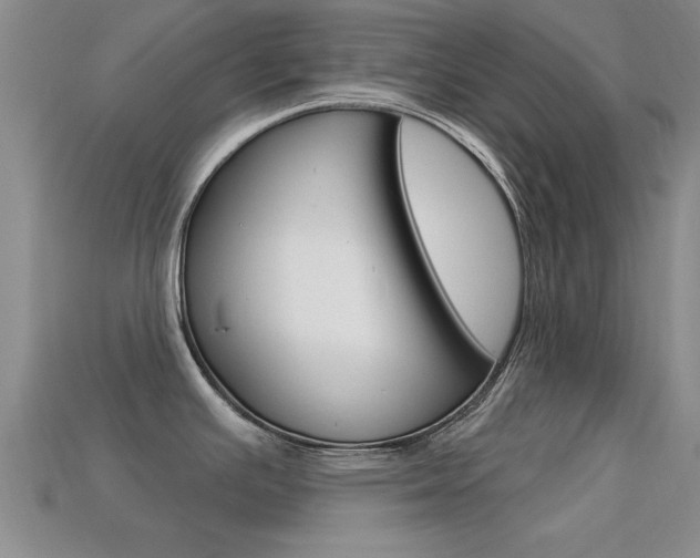 X0000113301391200909140936