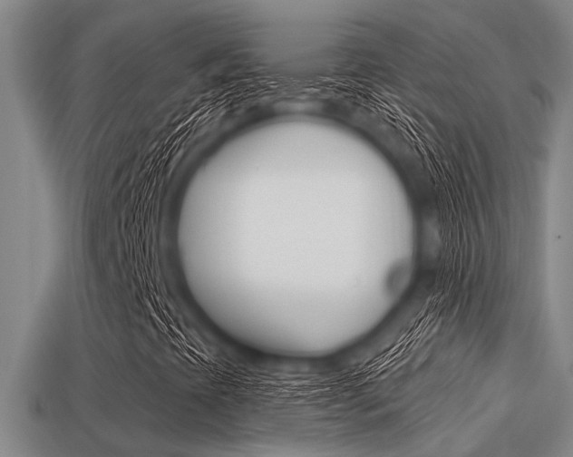 X0000113301393200909140935