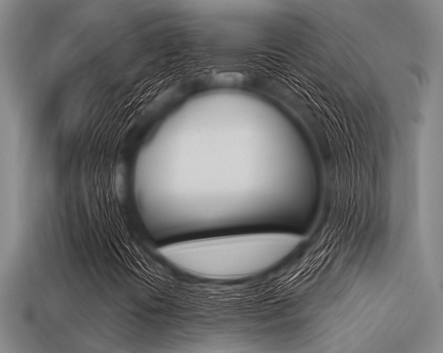 X0000113301394200909140935