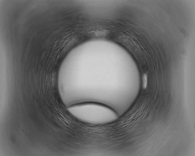 X0000113301395200909140935