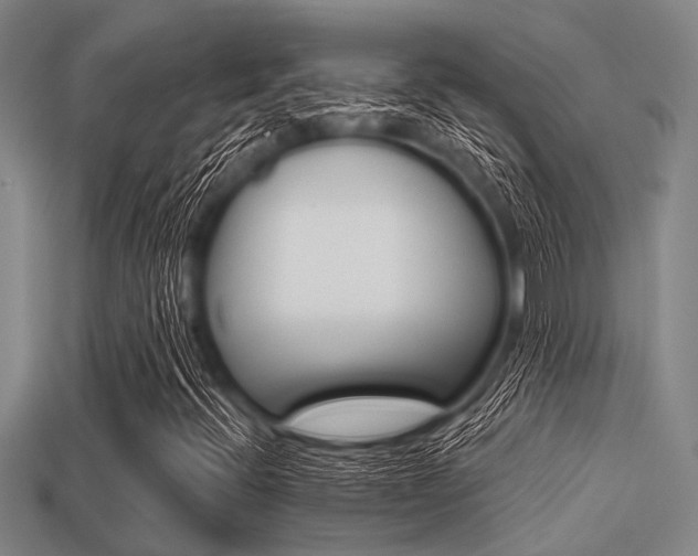 X0000113301396200909140935