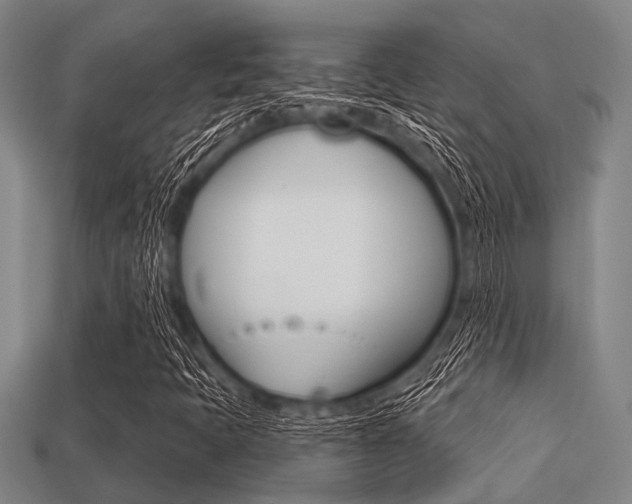 X0000113301397200909140935