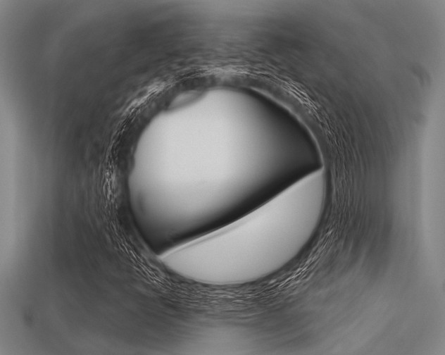 X0000113301398200909140935