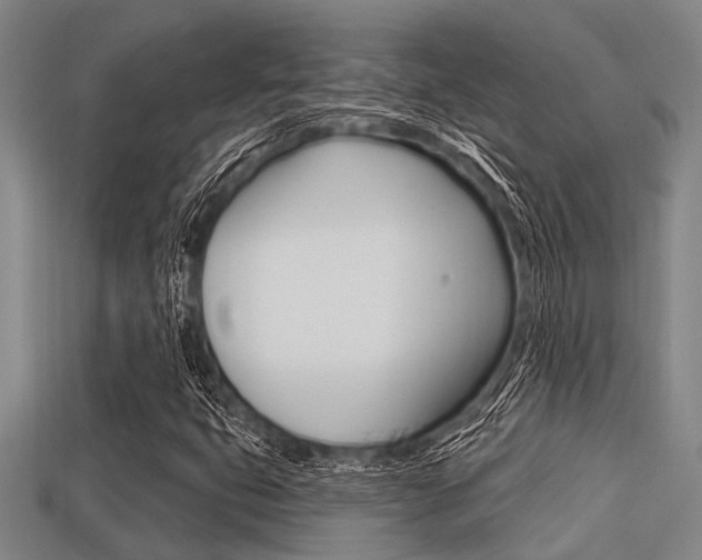 X0000113301399200909140936