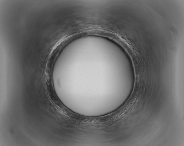 X0000113301400200909140936