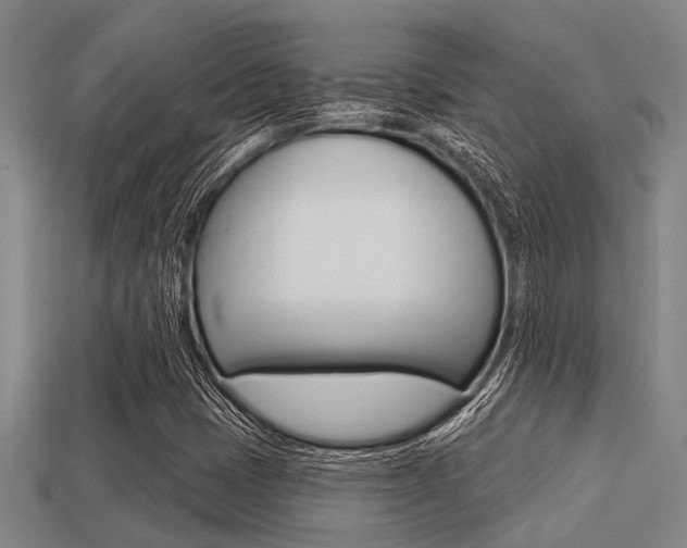 X0000113301401200909140936