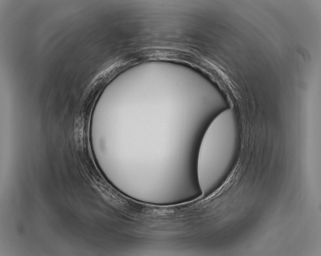 X0000113301403200909140936