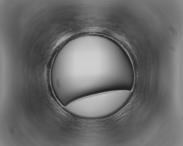 X0000113301404200909140936