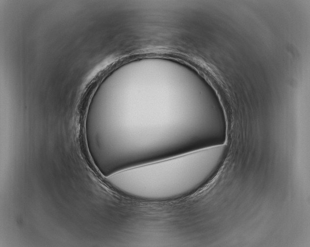 X0000113301406200909140936